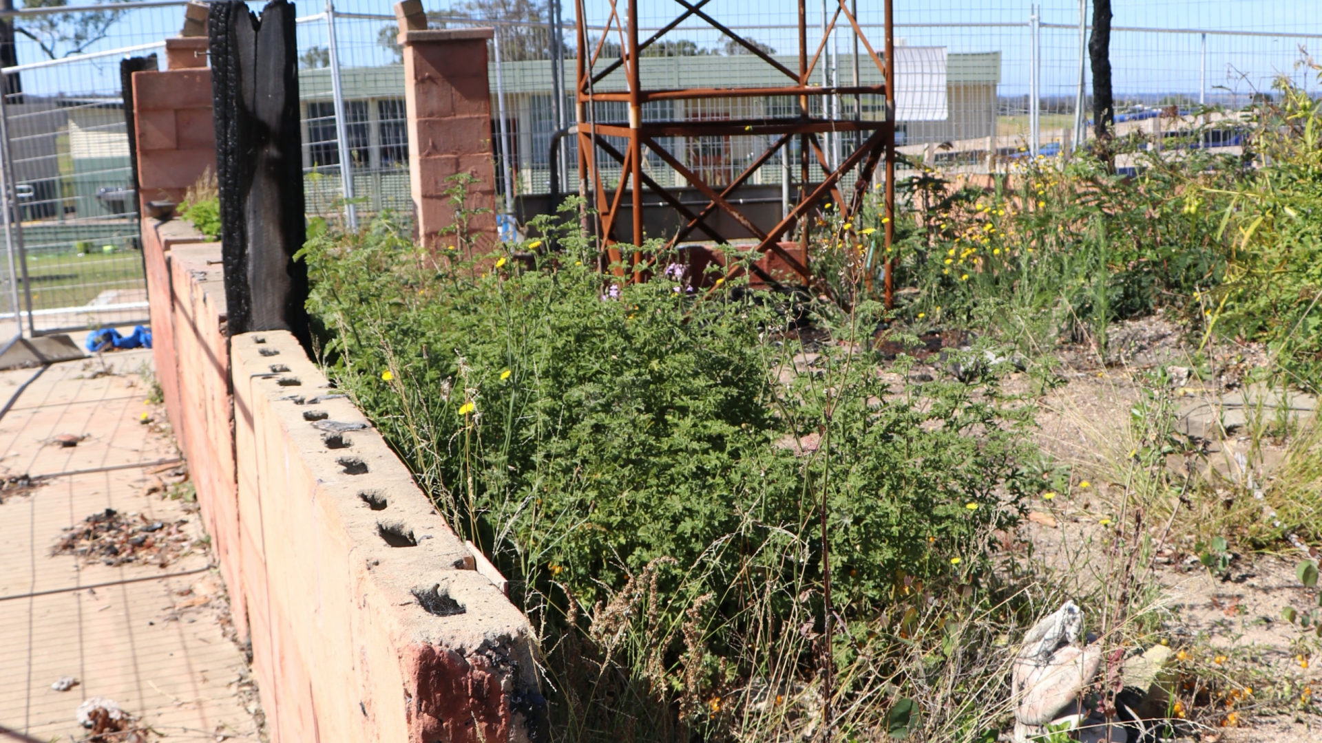 Image of an old brick wall in the foreground, some rusted red scaffolding behind it. Greenery is sprouting from the base of the wall and around the scaffolding