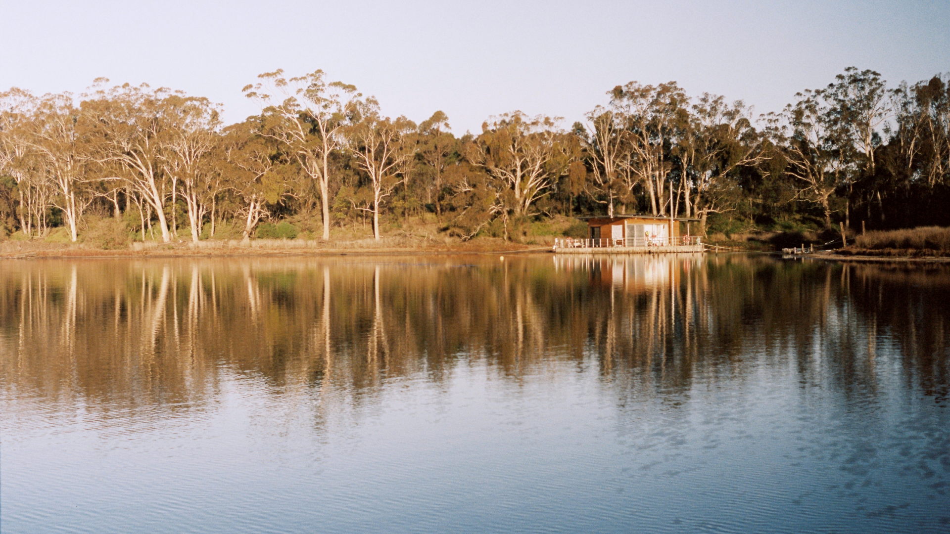 A lake with a houseboat surrounded by gum trees with large reflections in the lake water