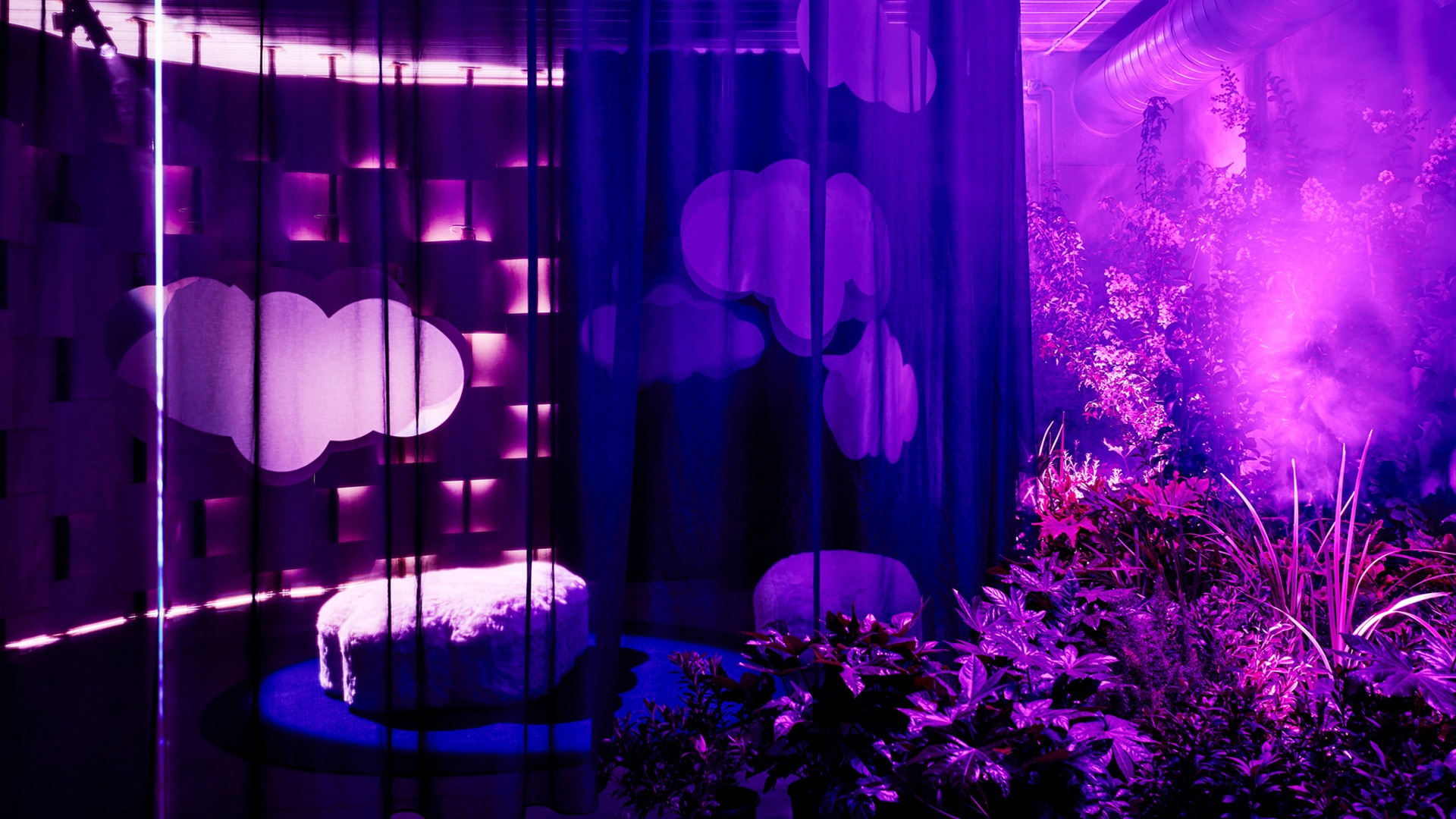 cloud bench, plants, floating clouds, mood lighting, scent, nature sound