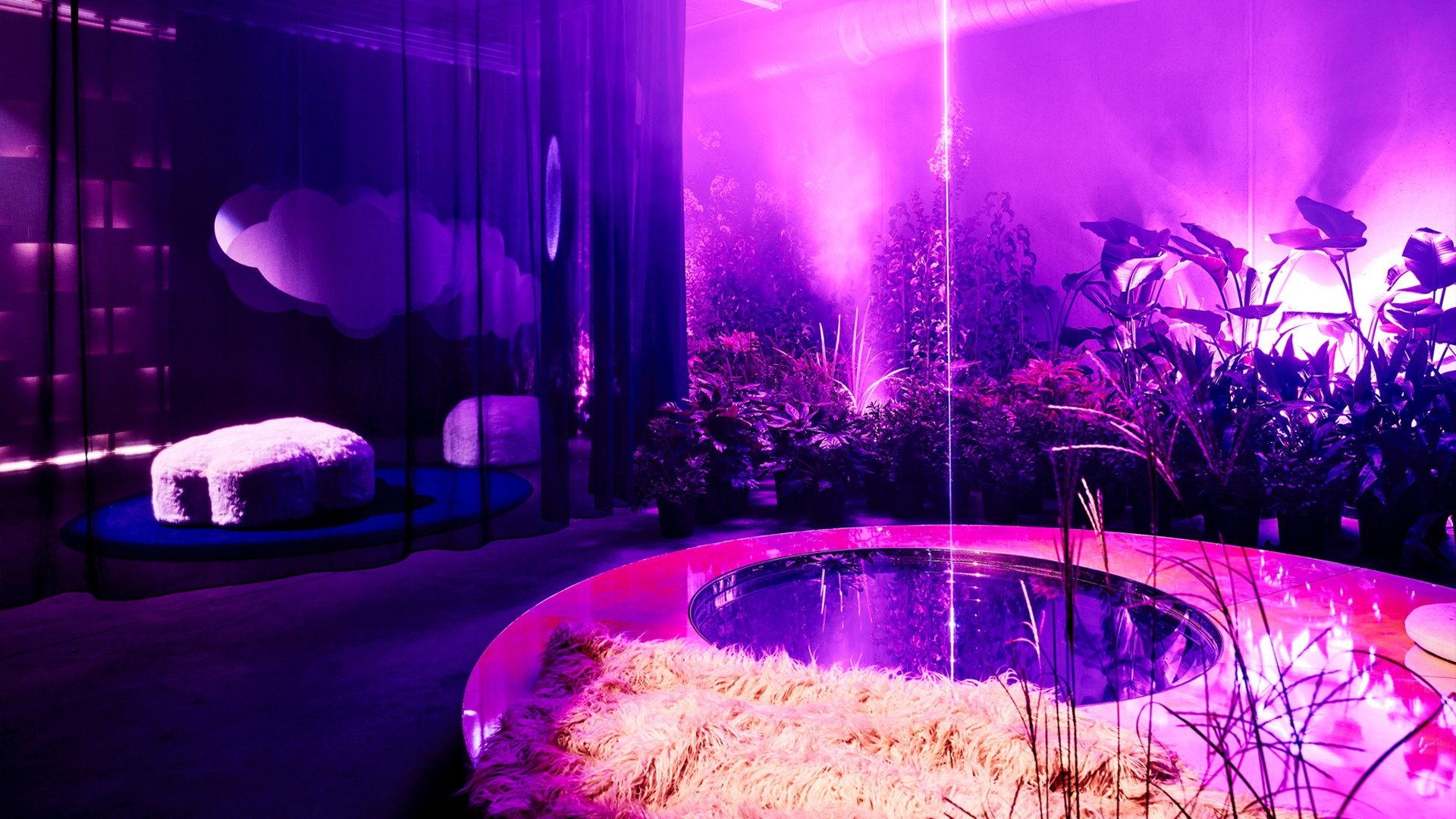 An interior scene with purple lighting, a circular reflection pool and indoor plants.