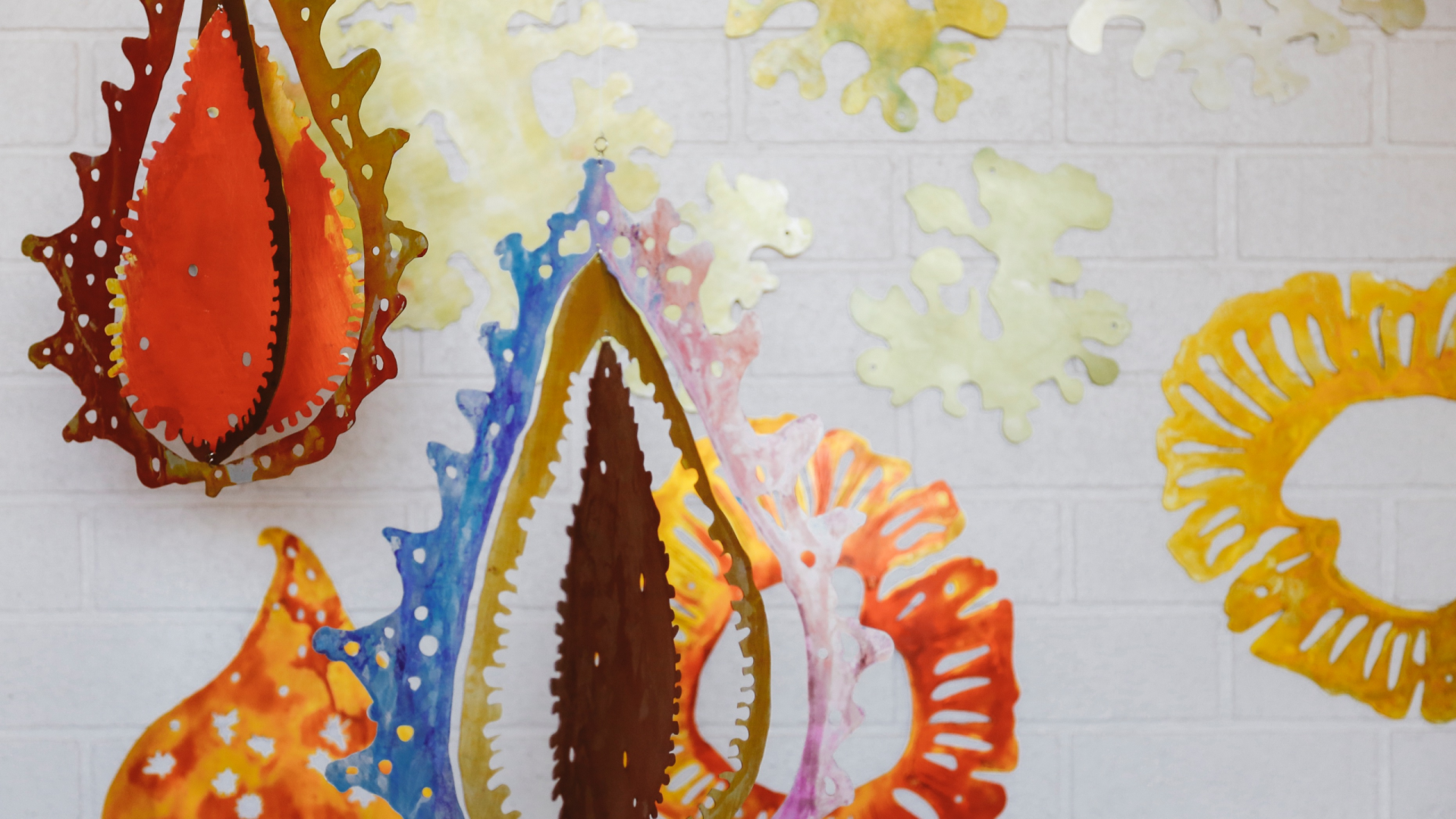  Colourful metal wall sculptures, images of seeds and lichen and nature forms.