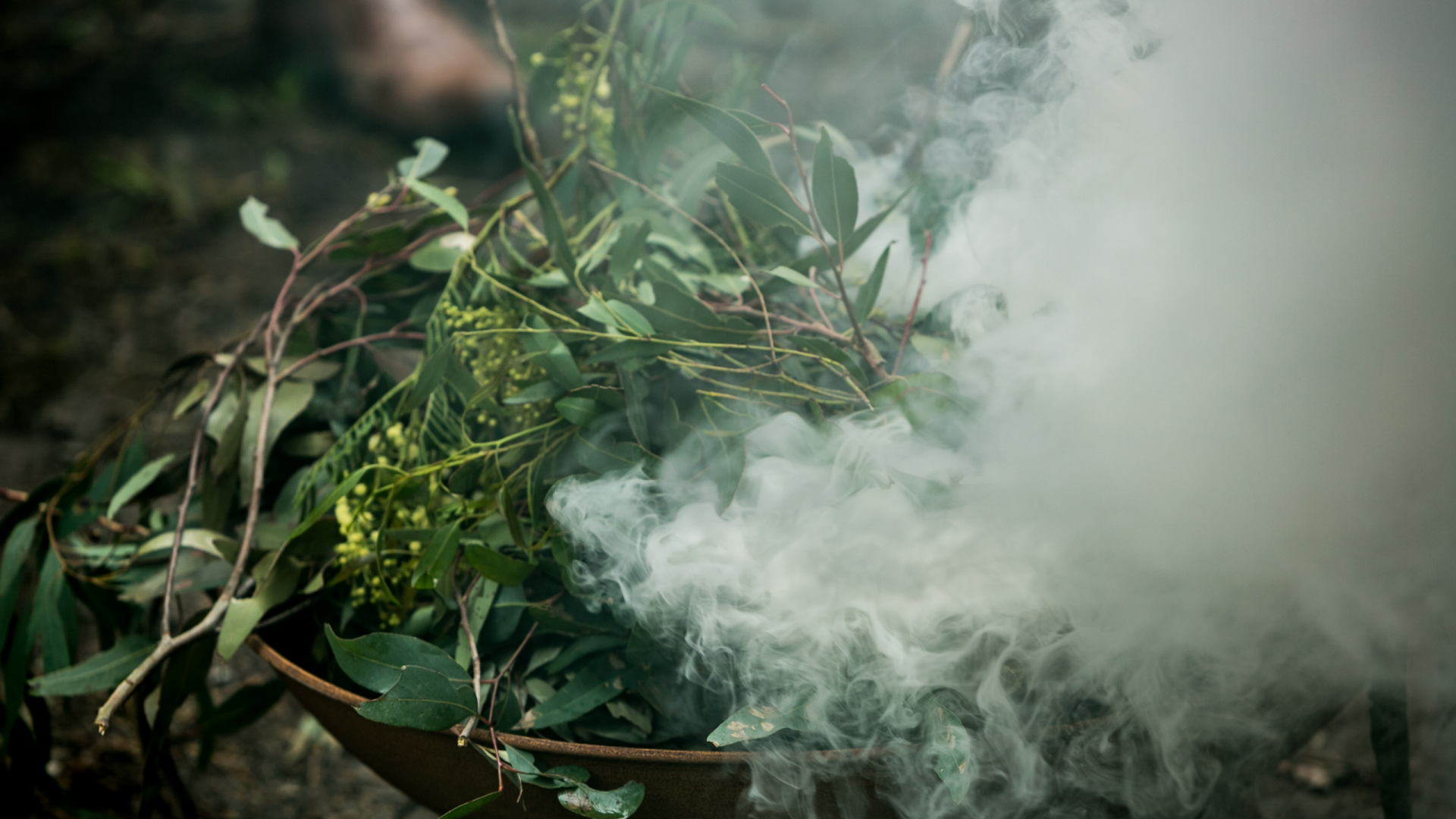 Close up photo of a bunch of gum leaves being used in a smoking ceremony. The leaves are clear on the right hand side and move to be completely obscured by smoke on the left.